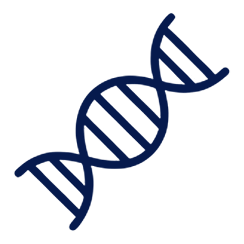 Icono de doble hélice de ADN: biotecnologías