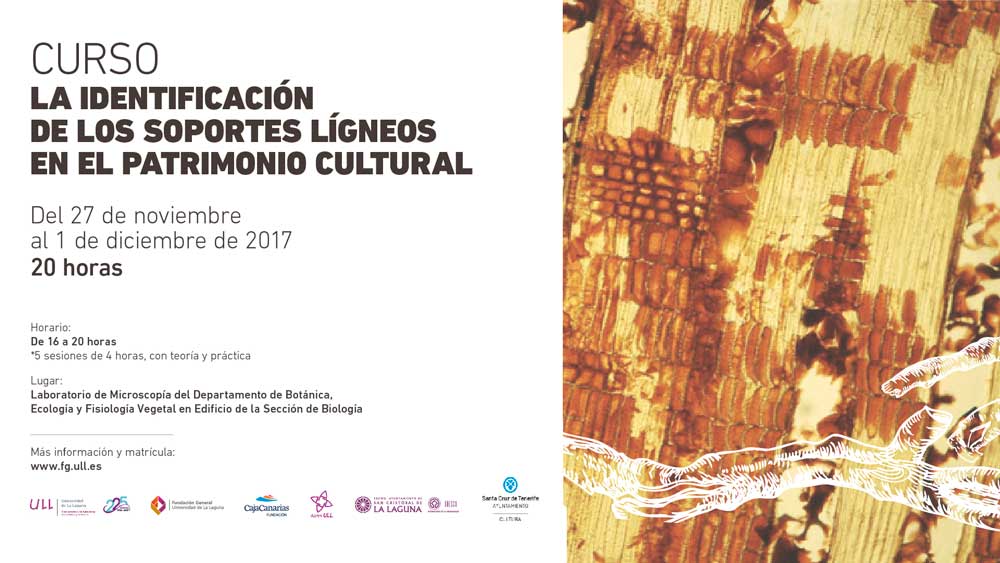 Identificación de los soportes lígneos en el Patrimonio Cultural 2017