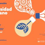 La Universidad de Verano de La Palma organiza 16 actividades culturales gratuitas