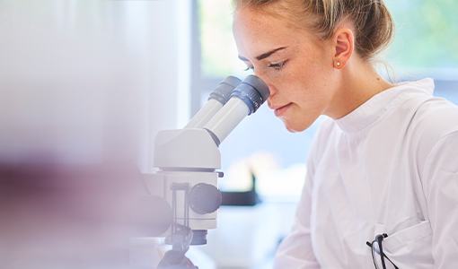 Apertura convocatoria PROGRAMA 'BECAS SANTANDER AYUDAS PREDOCTORALES', CONVOCATORIA 2025.
